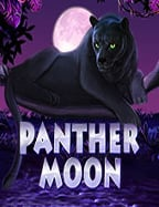 เปิดประสบการณ์ ทดลอง เล่น สล็อต เว็บ ตรงมา คา ร่า ใส